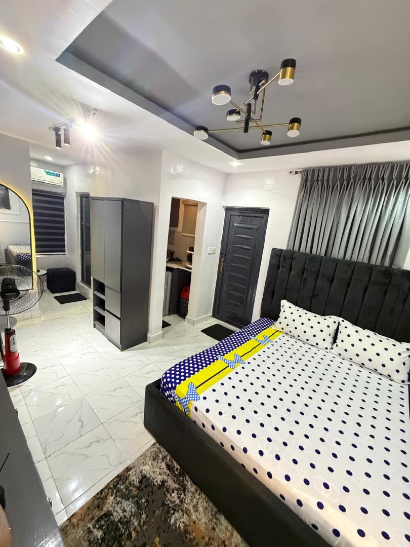 Open-plan kitchen in Akoka studio apartment
